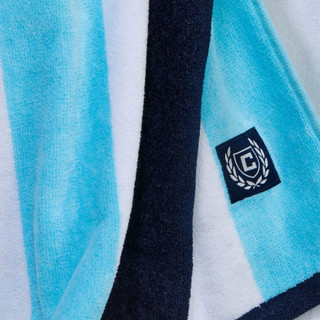 Thumbnail 5: Teal