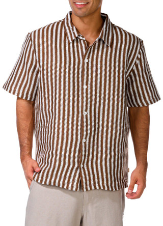 Thumbnail 2: BROWN