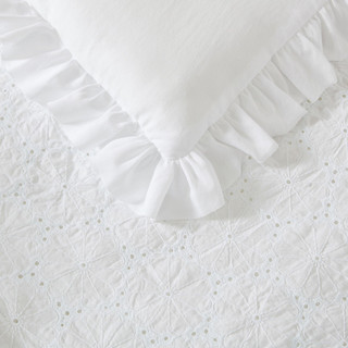 Thumbnail 31: Laura Ashley Laura Ashley Eyelet Ruffle Comforter & Sham Set 