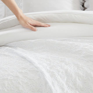 Thumbnail 38: Laura Ashley Laura Ashley Eyelet Ruffle Comforter & Sham Set 