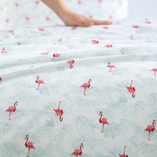 Thumbnail 19: Tommy Bahama Tommy Bahama Flamingo Santa Cotton Percale Sheet Set 