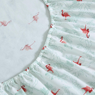 Thumbnail 15: Tommy Bahama Tommy Bahama Flamingo Santa Cotton Percale Sheet Set 