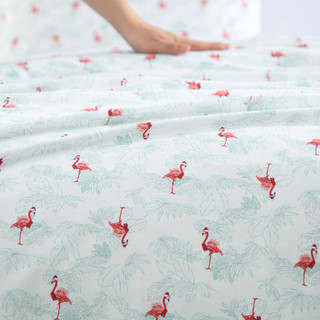 Thumbnail 20: Tommy Bahama Tommy Bahama Flamingo Santa Cotton Percale Sheet Set 