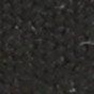 Thumbnail 8: Black Daisy