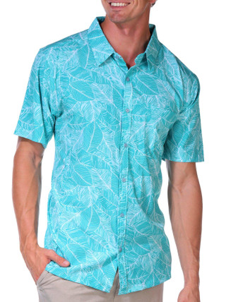 Thumbnail 1: TEAL