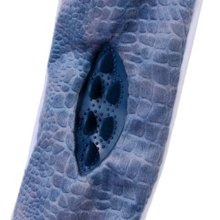 Thumbnail 4: Smithsonian Smithsonian 42 in Longamals Shark Squeak Crinkle Dog Toy 