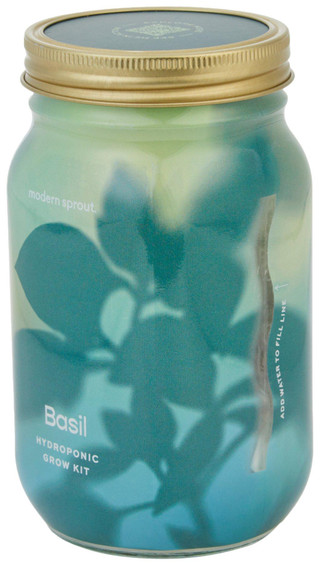 Thumbnail 3: MODERN SPROUT Modern Sprout Basil Hydroponic Grow Kit 