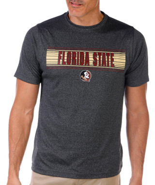 Thumbnail 1: Florida State Florida State Men's Performance T-Shirt By Colosseum 