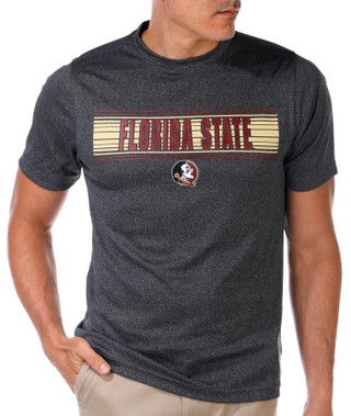 Thumbnail 4: Florida State Florida State Men's Performance T-Shirt By Colosseum 