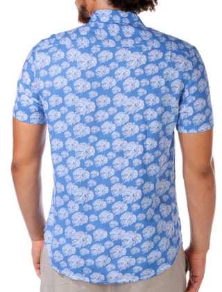 Thumbnail 3: BLUE