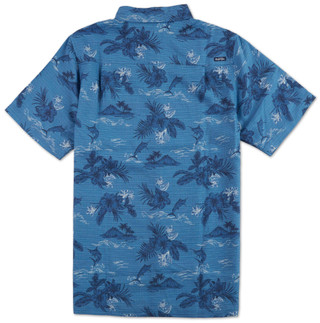 Thumbnail 2: Blue