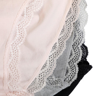 Thumbnail 3: Gloria Vanderbilt Gloria Vanderbilt Womens 3 Pk Microfiber Brief Lace Panties 