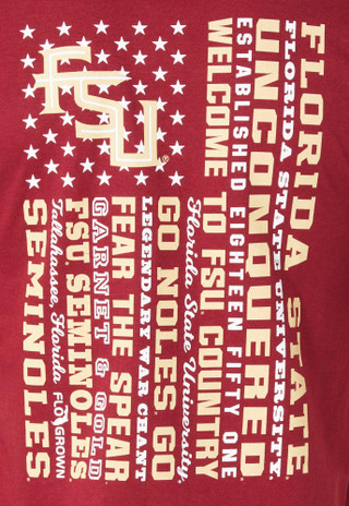 Thumbnail 3: Florida State Florida State Mens FSU Statement Flag T-Shirt 