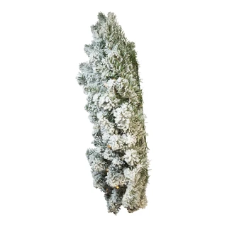 Thumbnail 5: Kurt Adler 24 in. Battery-Operated Warm White LED Vail Pine Wreath 