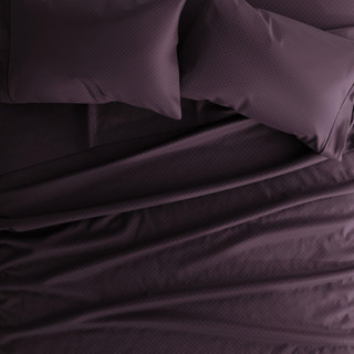 Thumbnail 10: PURPLE