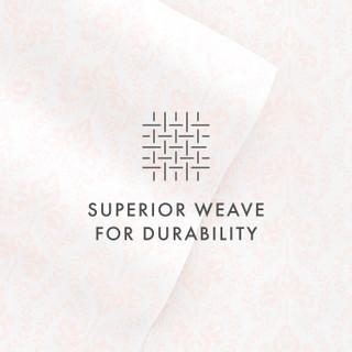 Thumbnail 40: Home Collections Home Collections Premium Soft Classic In Pink Sheet Set 