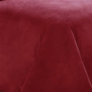 Thumbnail 1: Truly Soft Truly Soft Velvet Plush Throw Blanket 