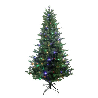 Thumbnail 1: Kurt Adler 6 ft. Pre-Lit Multi-Colored LED Jackson Pine Tree 