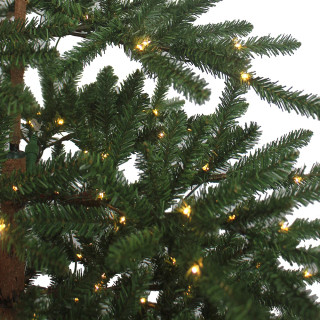 Thumbnail 3: Kurt Adler Kurt Adler 7 ft. Pre-Lit Warm White LED Mountain Pine Tree 