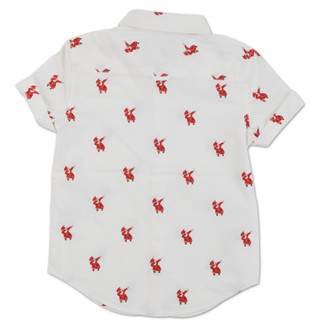 Thumbnail 2: White Multi