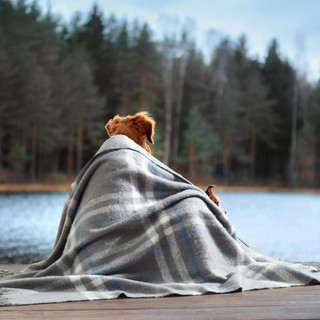 Thumbnail 4: Nautica Nautica Ryan Cove Plaid Throw 