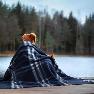 Thumbnail 7: Nautica Nautica Ryan Cove Plaid Throw 