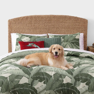 Thumbnail 7: Tommy Bahama Tommy Bahama Pineapple Pinstripe Cotton Percale Sheet Set 