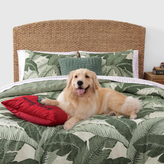 Thumbnail 24: Tommy Bahama Tommy Bahama Pineapple Pinstripe Cotton Percale Sheet Set 