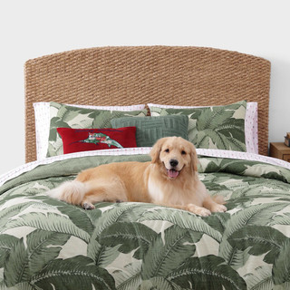 Thumbnail 18: Tommy Bahama Tommy Bahama Pineapple Pinstripe Cotton Percale Sheet Set 