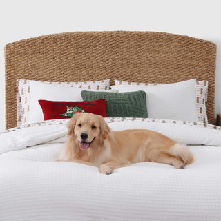 Thumbnail 3: Tommy Bahama Tommy Bahama Wrapped Up Cotton Percale Sheet Set 