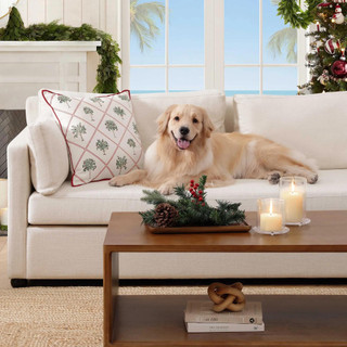 Thumbnail 5: Tommy Bahama Tommy Bahama Palm Tree Trellis Decorative Pillow 