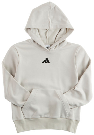 Thumbnail 1: Adidas Adidas Big Boys Active Small Logo Pullover Hoodie 