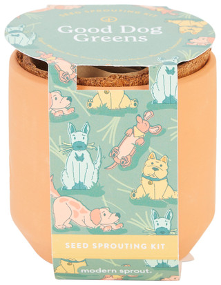 Thumbnail 1: MODERN SPROUT Modern Sprout Good Dog GreensTerracotta Grow Kit 