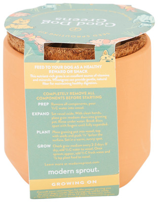 Thumbnail 3: MODERN SPROUT Modern Sprout Good Dog GreensTerracotta Grow Kit 