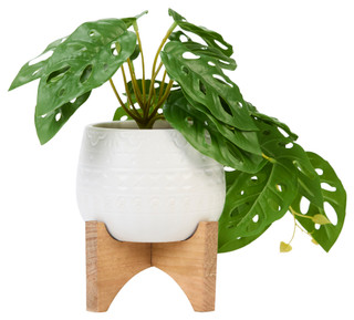 Thumbnail 2: FLORA BUNDA Flora Bunda 5.5 in Trailing Leaf Wood Stand 