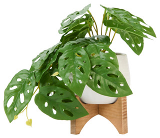 Thumbnail 1: FLORA BUNDA Flora Bunda 5.5 in Trailing Leaf Wood Stand 