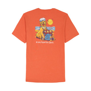 Thumbnail 4: IZOD IZOD Men's Saltwater Short Sleeve Graphic Tee - Burnt Ochr 