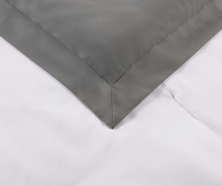 Thumbnail 4: Truly Soft Truly Soft Everyday Hotel Border Comforter Set 