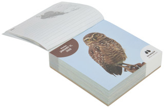 Thumbnail 3: TF Publishing TF Publishing Birds 2026 Daily Desktop Calendar 
