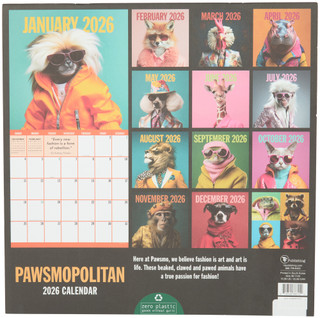 Thumbnail 2: TF Publishing TF Publishing Pawsmopolitan 2026 Daily Wall Calendar 