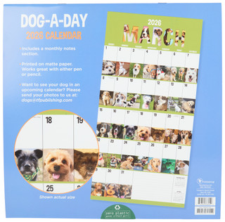 Thumbnail 2: TF Publishing TF Publishing Dog A Day 2026 Daily Wall Calendar 