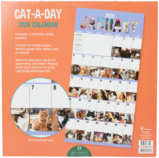 Thumbnail 2: TF Publishing TF Publishing Cat A Day 2026 Daily Wall Calendar 