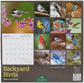 Thumbnail 2: TF Publishing TF Publishing Backyard Birds 2026 Daily Wall Calendar 
