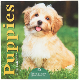 Thumbnail 1: TF Publishing TF Publishing Puppies 2026 Mini Daily Calendar 