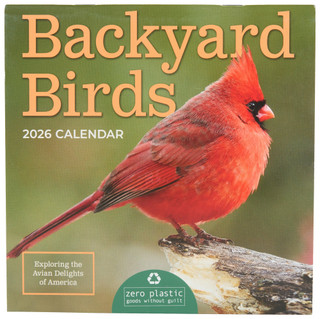 Thumbnail 1: TF Publishing TF Publishing Backyard Birds 2026 Mini Daily Calendar 