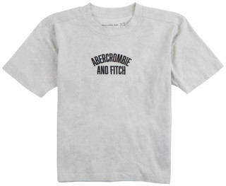Thumbnail 1: Abercrombie & Fitch Abercrombie & Fitch Big Boys Embroidered Logo Tee 