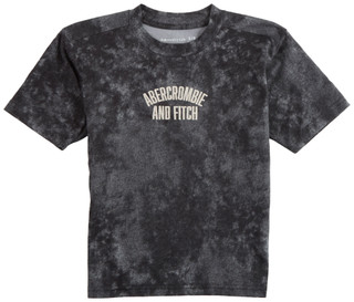 Thumbnail 1: Abercrombie & Fitch Abercrombie & Fitch Big Boys Embroidered Logo Tee 