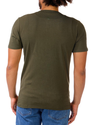 Thumbnail 2: Olive