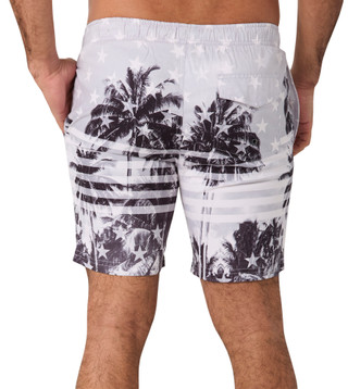 Thumbnail 2: Distortion Distortion Mens Americana Palm Print Boardshorts 