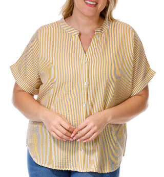 Thumbnail 1: LIV LOS ANGELES Liv Los Angeles Plus Short Sleeve Seersucker Stripe Top 